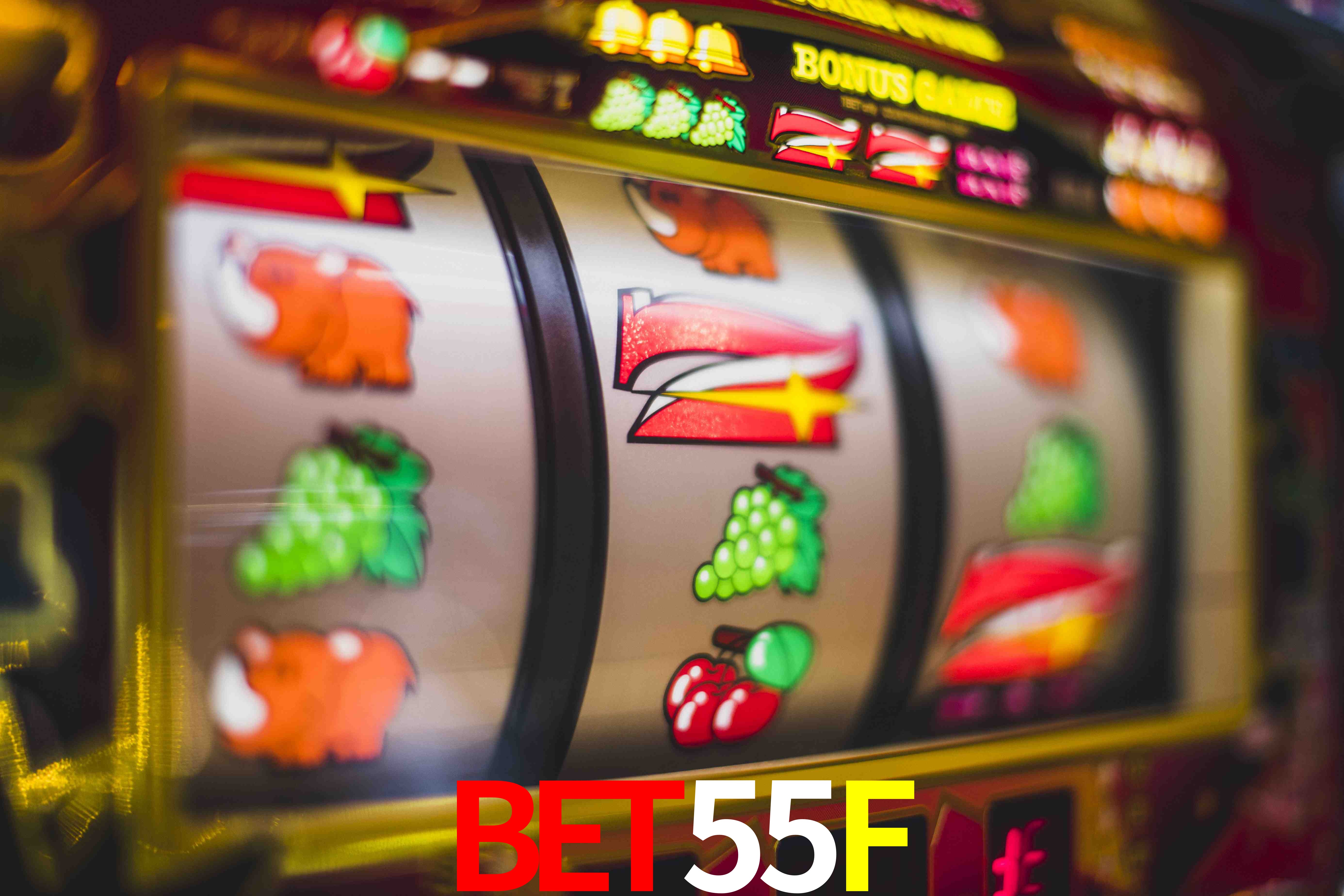 Sports Statistics BET55F